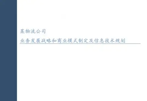 鲁能帆茂业务发展战略和商业模式制定及信息技术规划