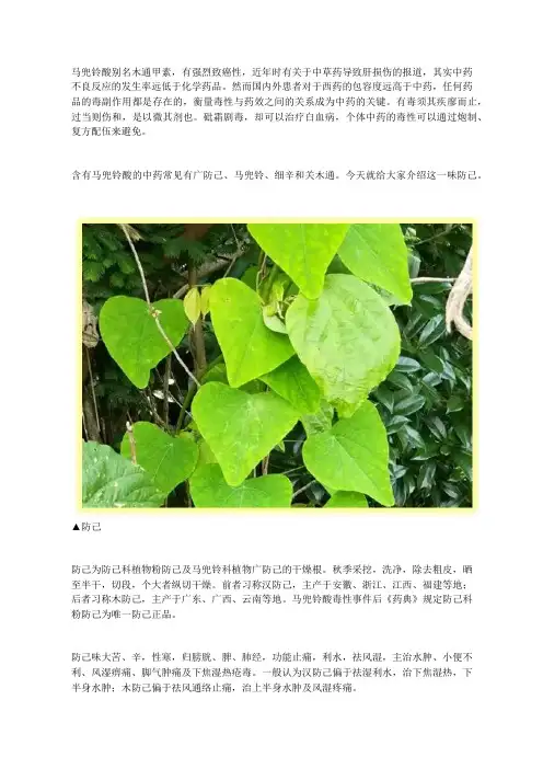中药知识：防己