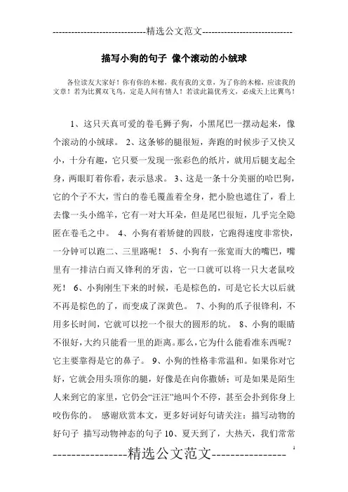 描写小狗的句子 像个滚动的小绒球