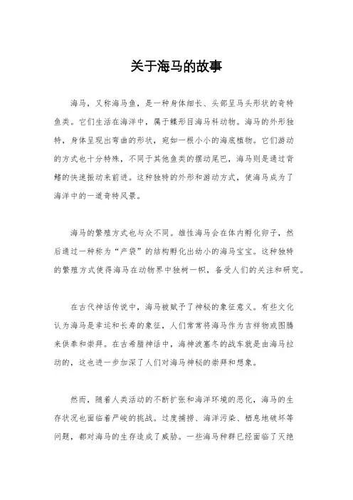 关于海马的故事