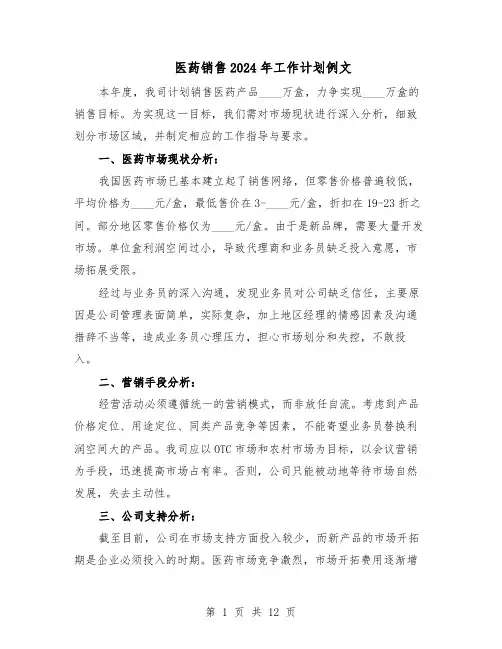 医药销售2024年工作计划例文（6篇）