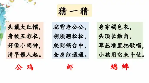 《在牛肚子里旅行》ppt课件