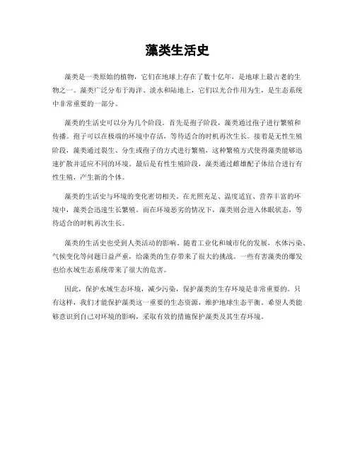 藻类生活史