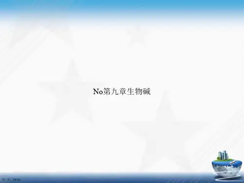 No第九章生物碱讲课文档