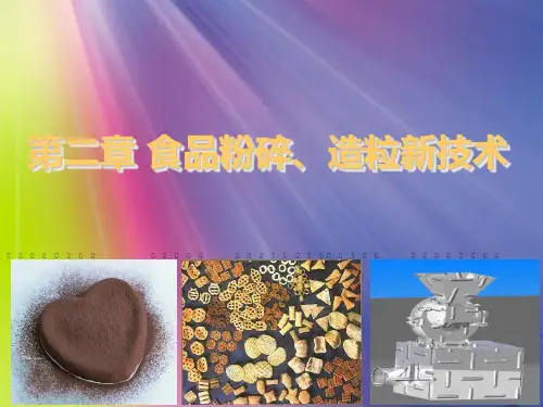 第二章 食品粉碎、造粒新技术