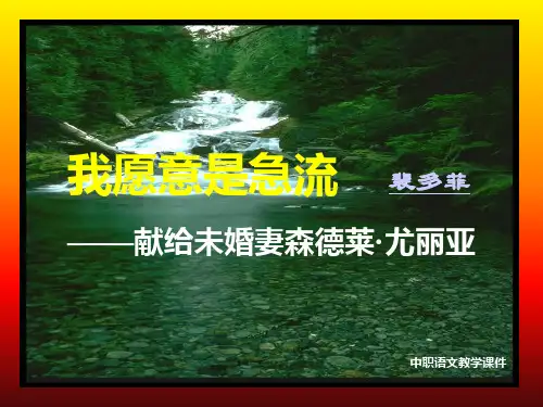 我愿意是急流(课件)