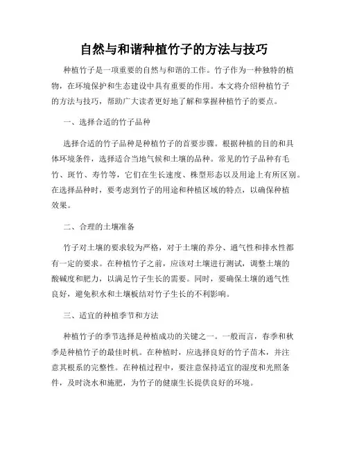 自然与和谐种植竹子的方法与技巧