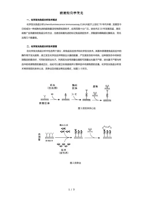 磁微粒化学发光