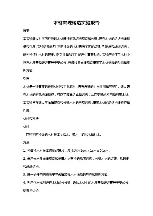 木材宏观构造实验报告