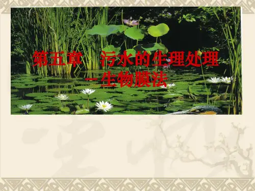 污泥的生物处理——生物膜法