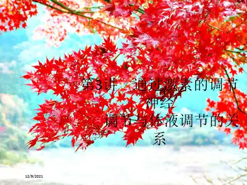 高考生物一轮复习 第9单元 第3讲 通过激素的调节 神经调节与体液调节的关系课件 