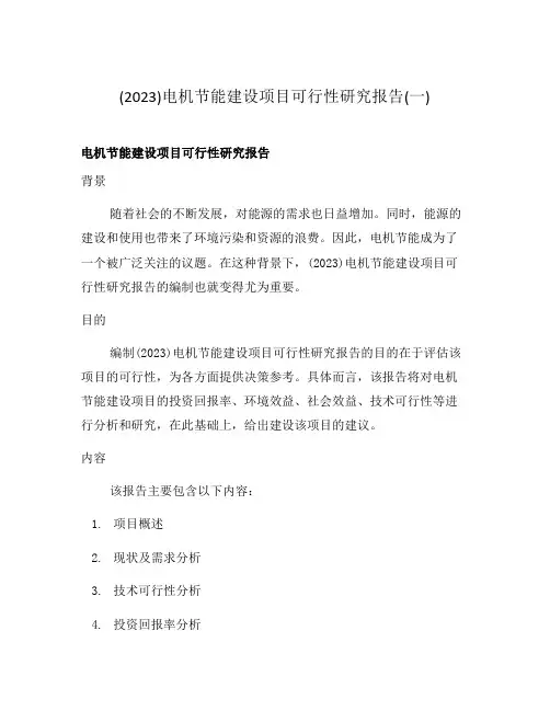 (2023)电机节能建设项目可行性研究报告(一)