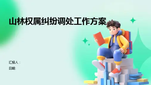 山林权属纠纷调处工作方案