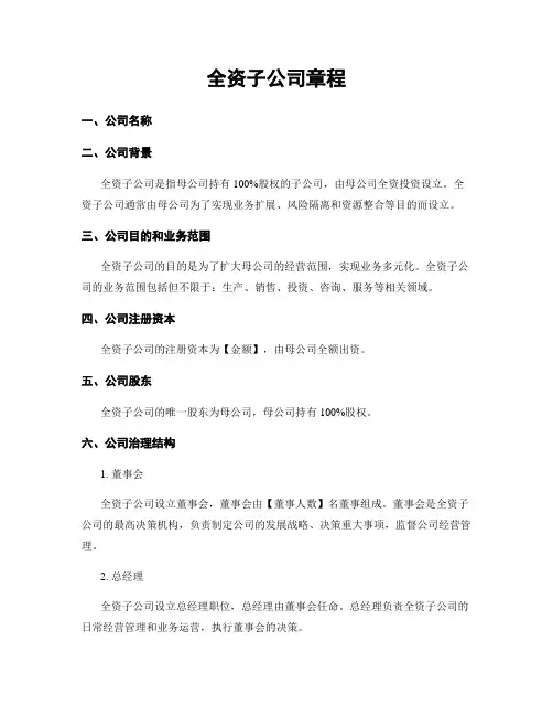 全资子公司章程