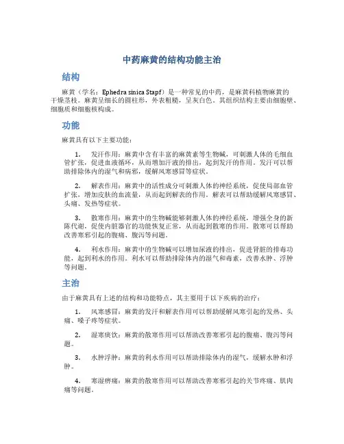 中药麻黄的结构功能主治