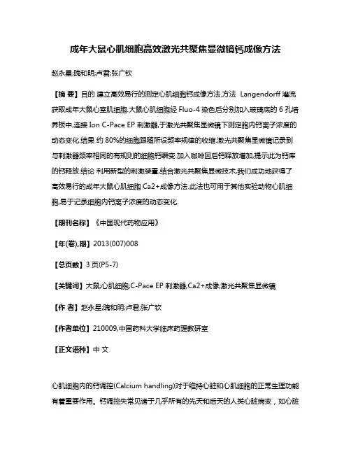 成年大鼠心肌细胞高效激光共聚焦显微镜钙成像方法