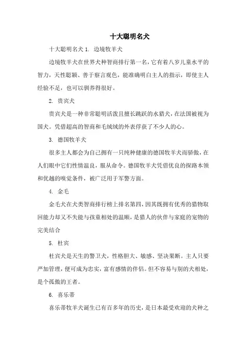十大聪明名犬