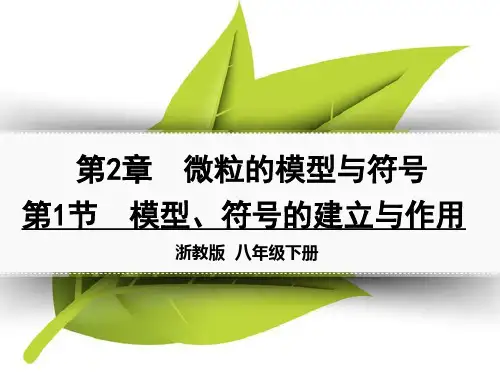 第1节模型、符号的建立与作用PPT课件(初中科学)