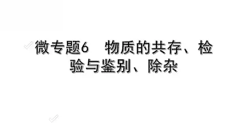 微专题6 物质的共存、检验与鉴别、除杂