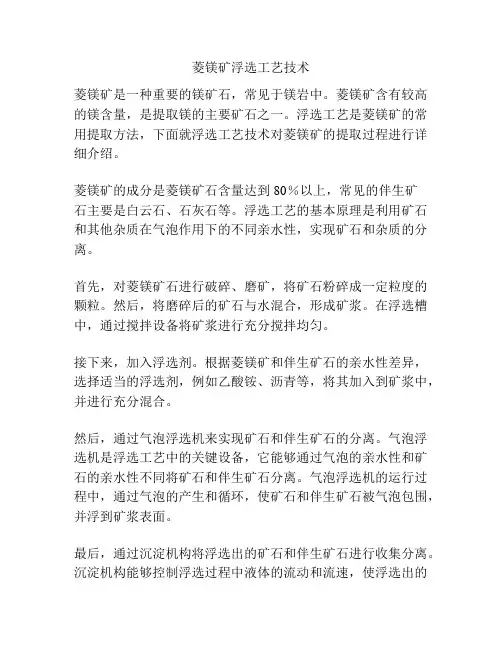 菱镁矿浮选工艺技术
