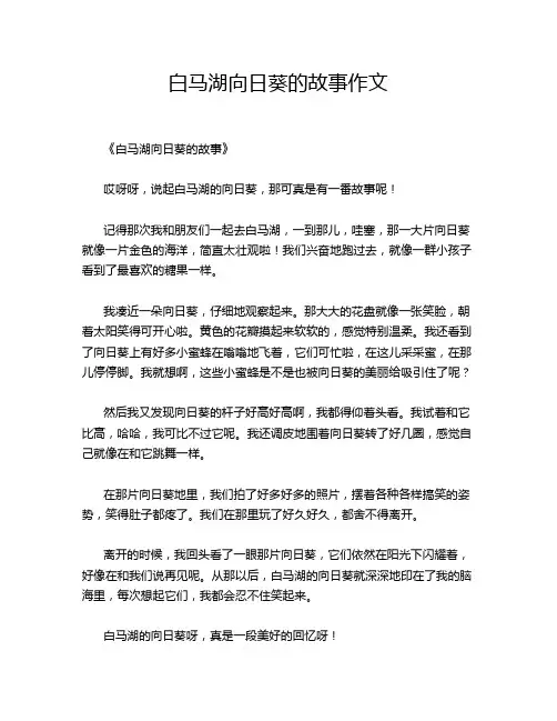 白马湖向日葵的故事作文