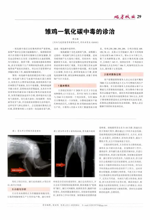 雏鸡一氧化碳中毒的诊治