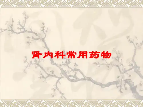 肾内科常用药物培训课件