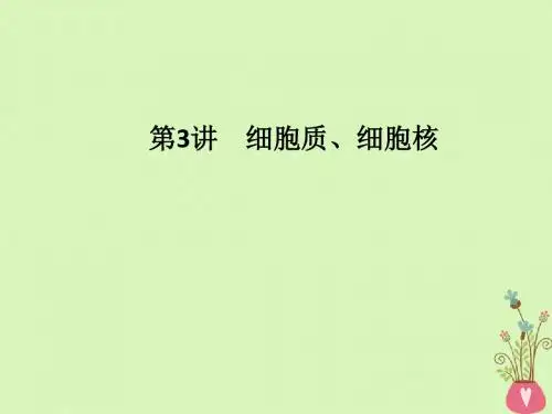2019版高考生物一轮复习第3讲细胞质细胞核课件