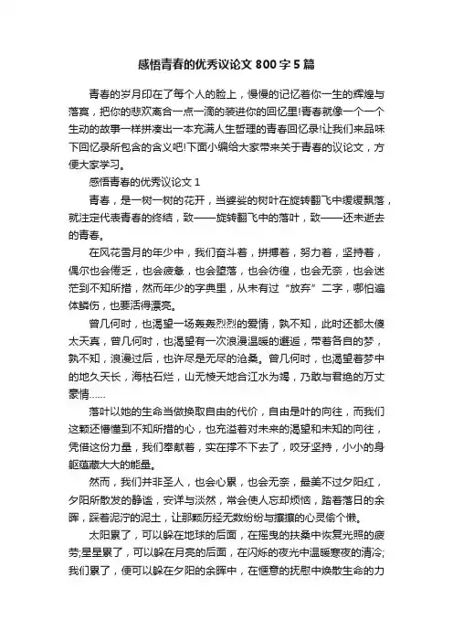 感悟青春的优秀议论文800字5篇