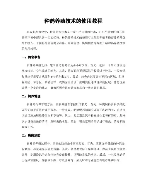 种鸽养殖技术的使用教程