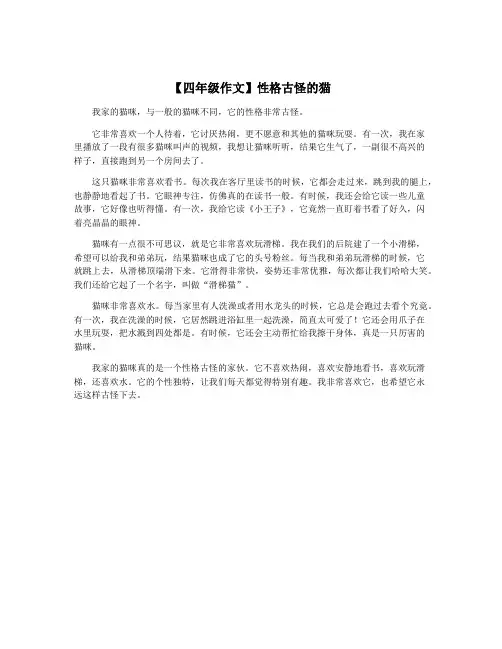 【四年级作文】性格古怪的猫