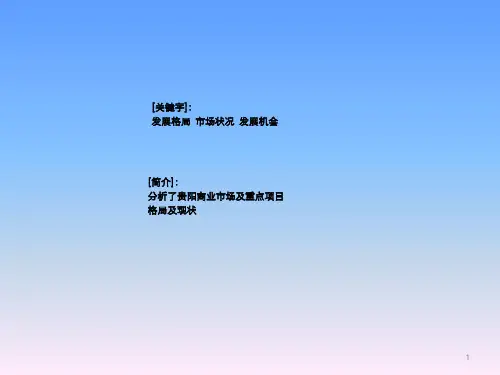 2013年贵阳写字楼及商业调查报告59页