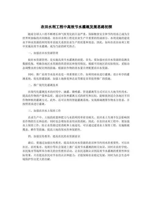 农田水利工程中高效节水灌溉发展思路初探