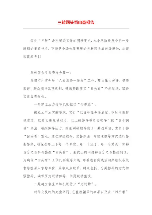 三转回头看自查报告