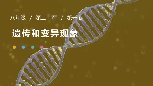 北师大版八年级生物上册 遗传和变异现象 教学课件