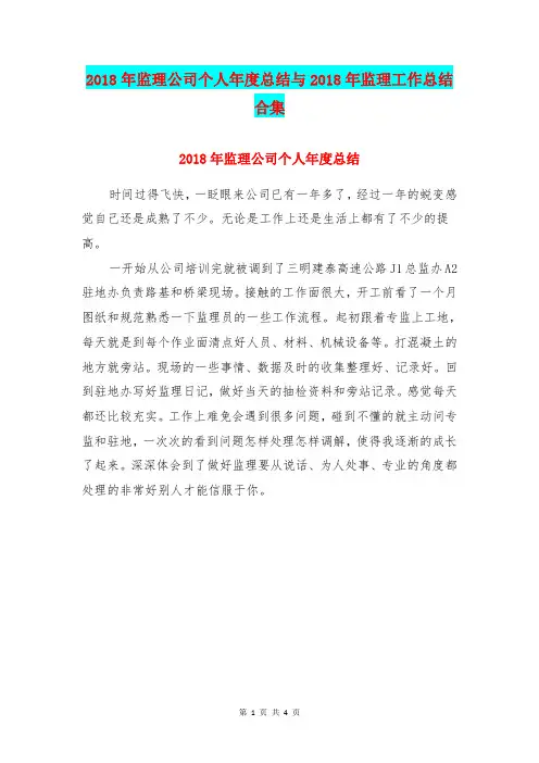 2018年监理公司个人年度总结与2018年监理工作总结合集.doc