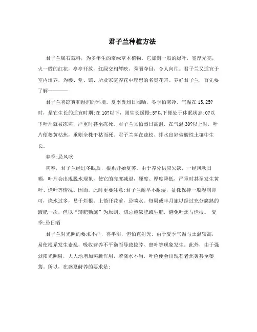 君子兰种植方法