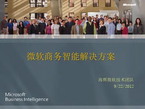 微软BI简介