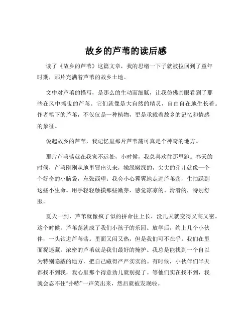故乡的芦苇的读后感