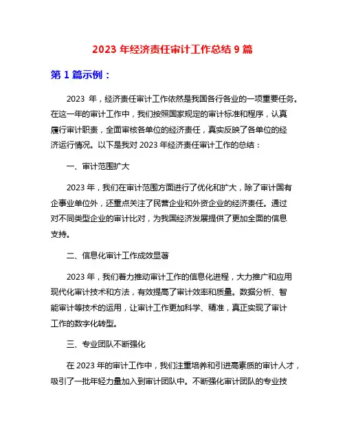 2023年经济责任审计工作总结9篇