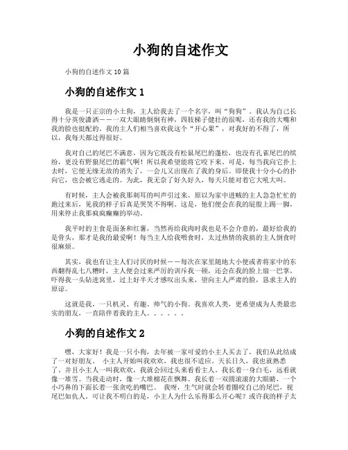 小狗的自述作文