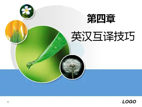 大学英语实用翻译PPT课件