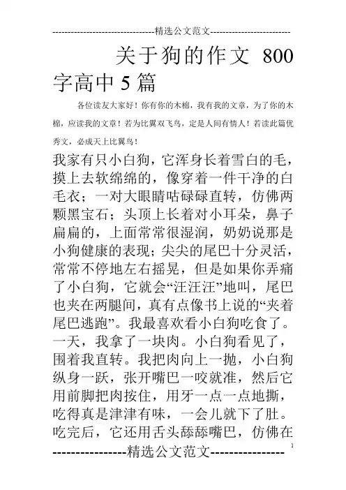 关于狗的作文800字高中5篇_0