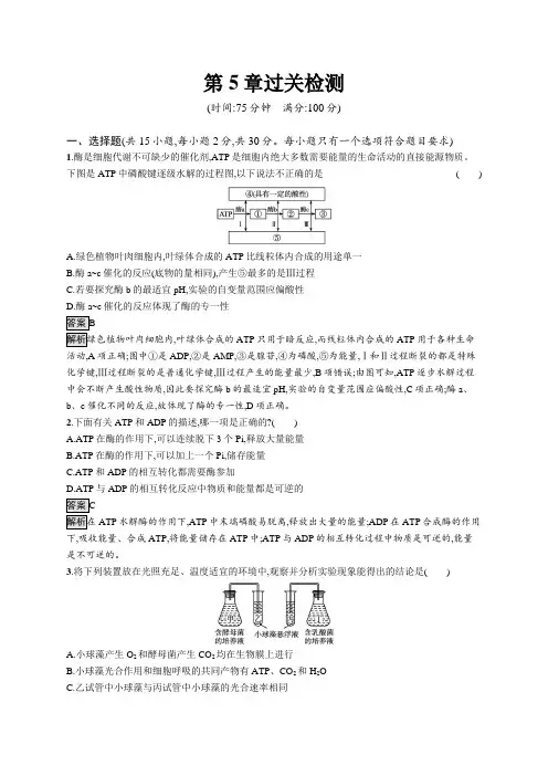 高中生物(新人教版)必修第一册课后习题：第5章过关检测(课后习题)【含答案及解析】