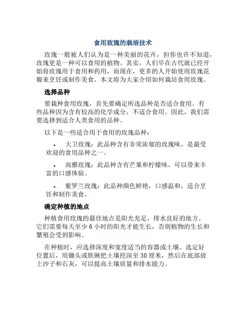 食用玫瑰的栽培技术