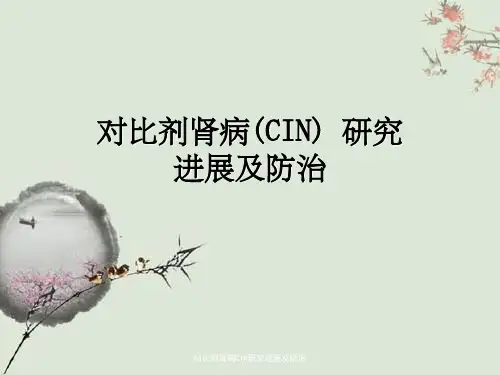 对比剂肾病CIN研究进展及防治