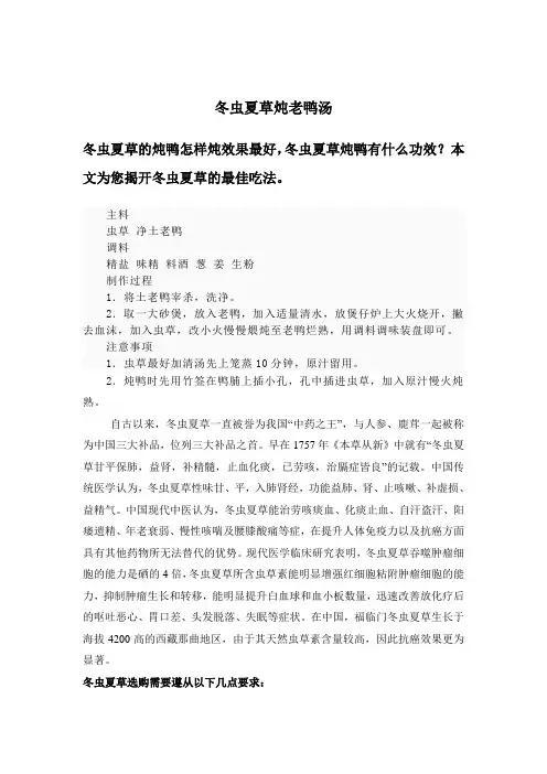 冬虫夏草炖老鸭汤
