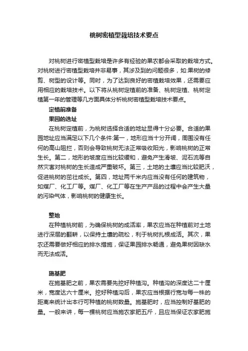 桃树密植型栽培技术要点