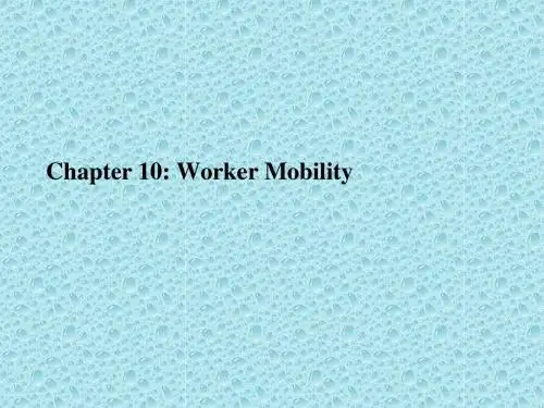 劳动经济学PPT
