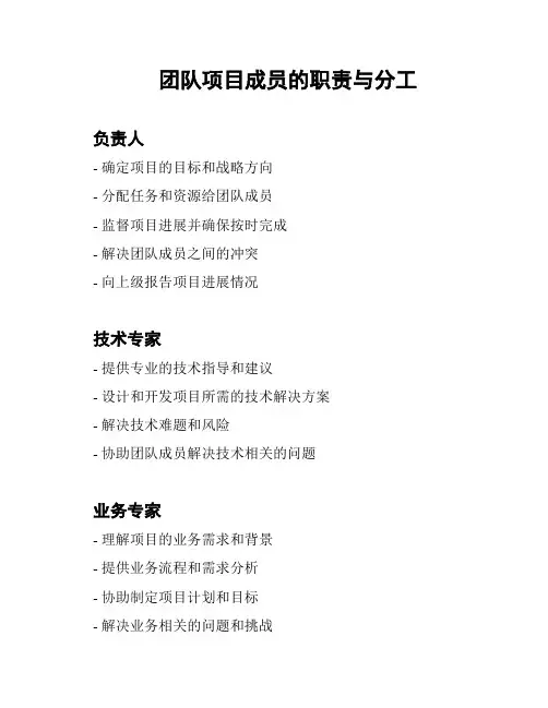 团队项目成员的职责与分工